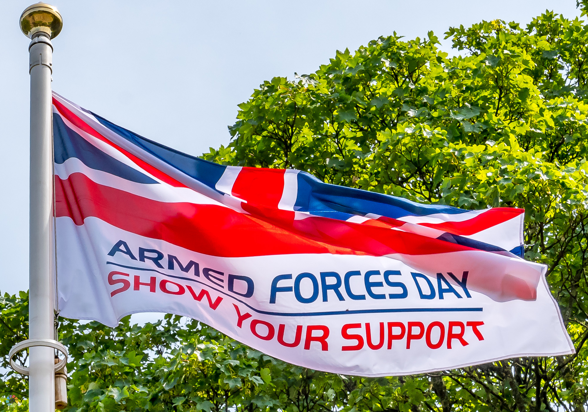 Armed Forces Day 2017