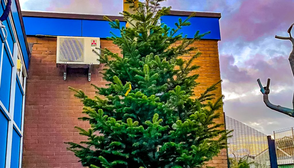 Gamesley Christmas 2021 – Buses, shops, bins and other info - picture of the Winster Mews Christmas Tree